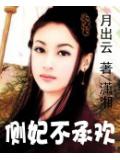 侧妃不承欢